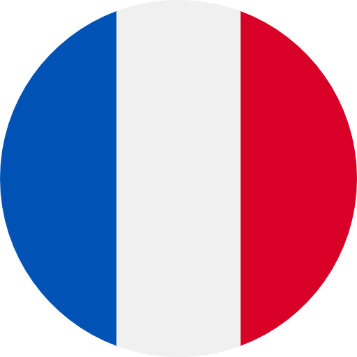 fr flag